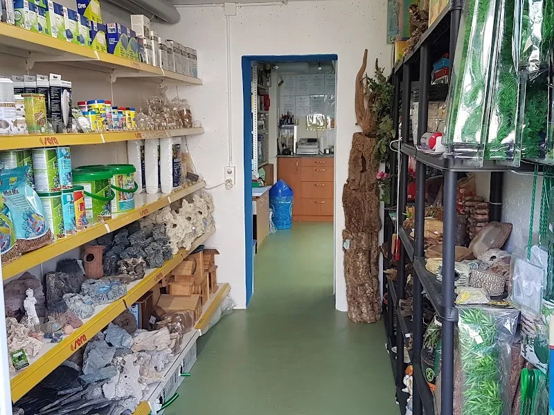 Aquariumgeschäft, Aquarium und Terrarium Obfelden, Bernadette Schneiter — Zoofachhandel in Obfelden, Zürich. Bewertung 4.8/5.