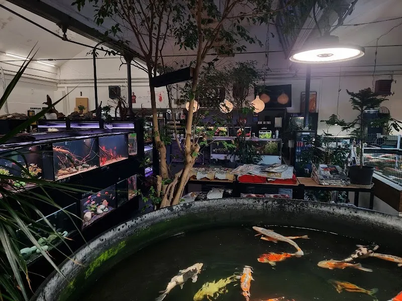 Aquariumwelt — Zoofachhandel in Birmensdorf, Zürich. Bewertung 5.0/5.