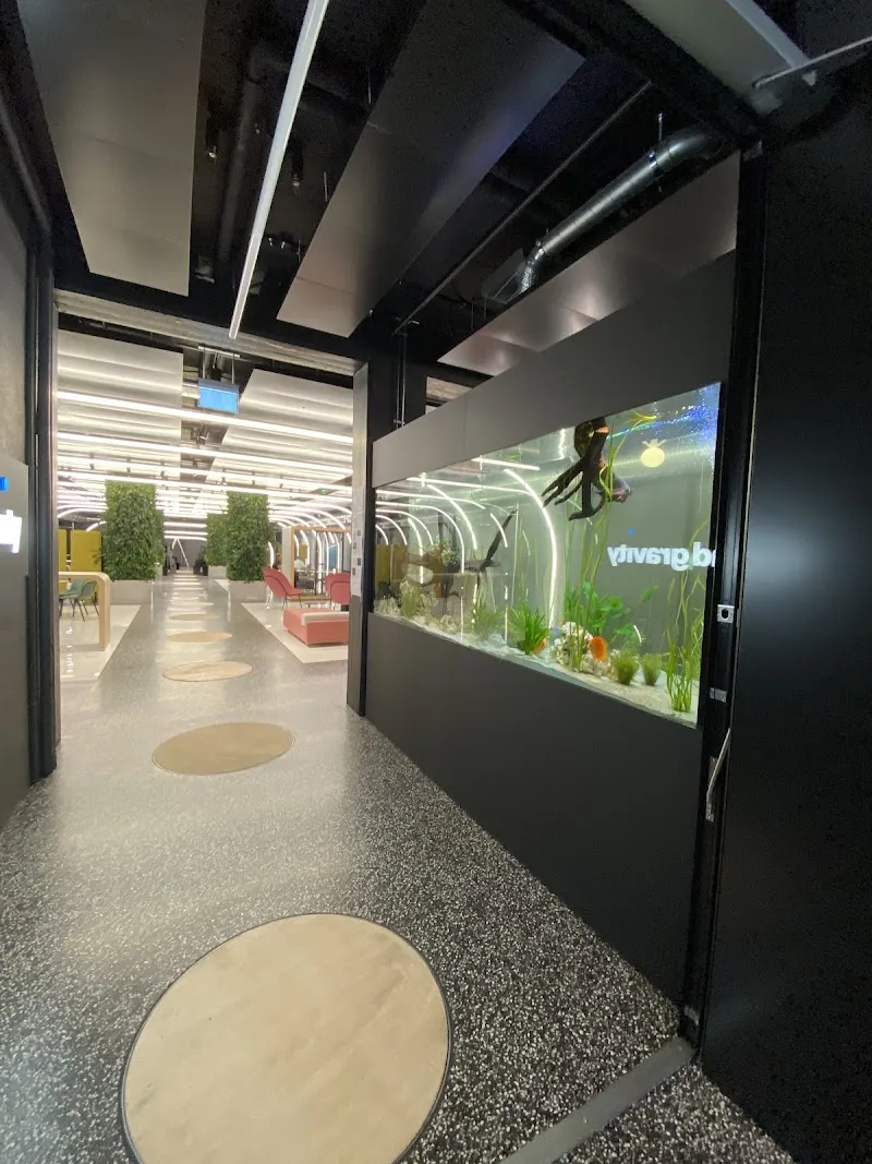 Aquartiste — Zoofachhandel in Spreitenbach, Aargau. Bewertung 4.6/5.