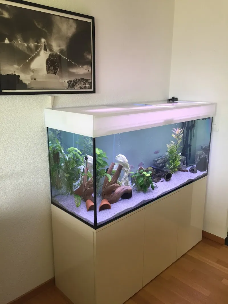 Aquartiste — Animalerie, Spreitenbach, Argovie. Foto 2