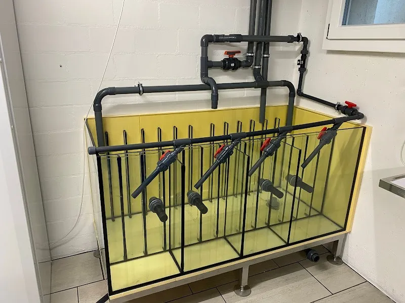 Aquartiste — Animalerie, Spreitenbach, Argovie. Foto 3