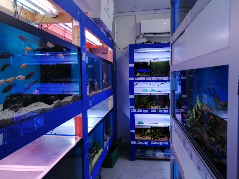 Aquasystems GmbH — Zoofachhandel in Hadlikon, Zürich. Bewertung 4.7/5.