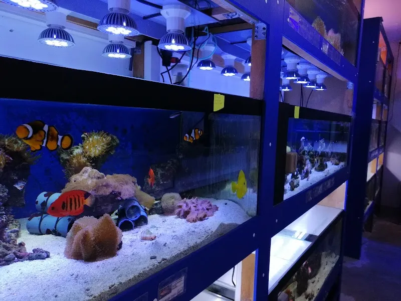 Aquasystems GmbH — Animalerie, Hadlikon, Zurich. Foto 2