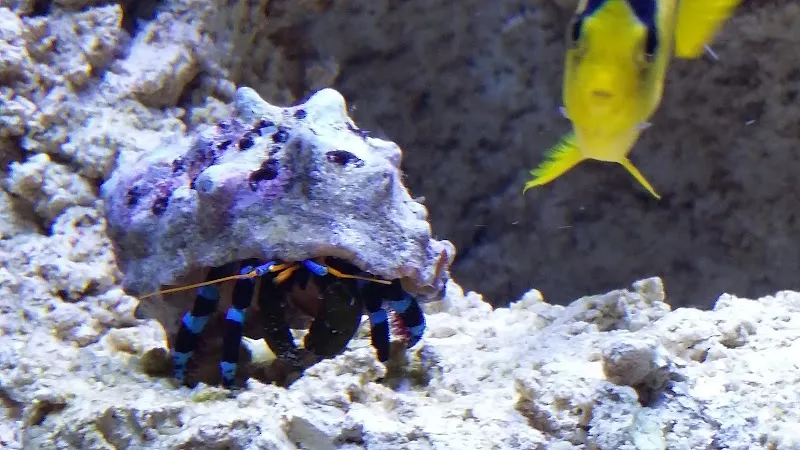 Aquasystems GmbH — Animalerie, Hadlikon, Zurich. Foto 3