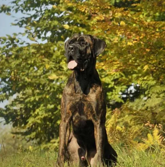 Barfland AG — Zoofachhandel in Uster, Zürich. Bewertung 4.8/5.