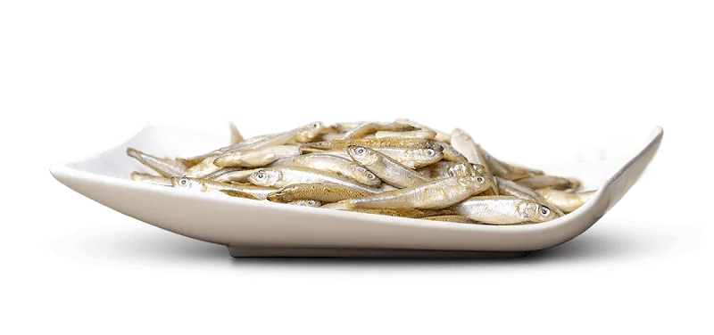 Be My BARF - Hundefutter & Katzenfutter — Zoofachhandel, Zug, Zug. Foto 3