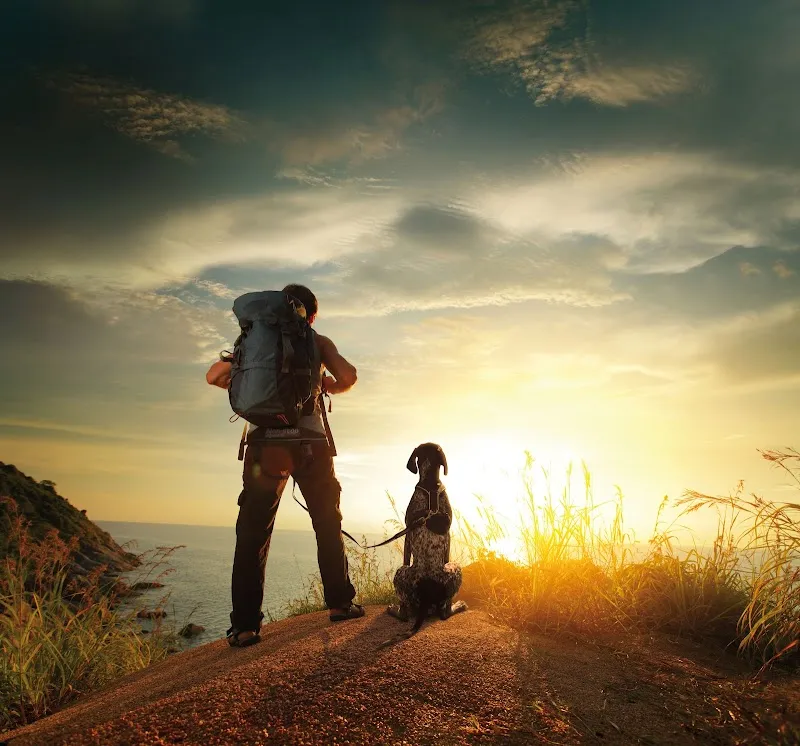 Beito Hundezubehör — Zoofachhandel in Hinwil, Zürich. Bewertung 4.6/5.