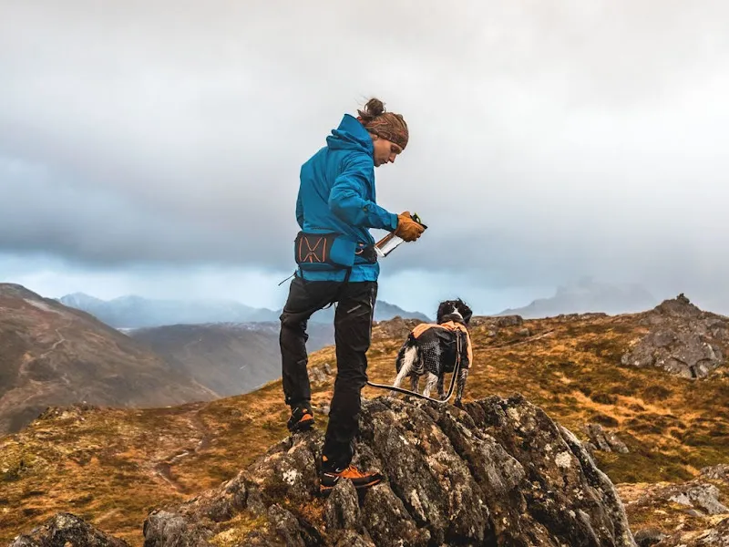 Beito Hundezubehör — Zoofachhandel, Hinwil, Zürich. Foto 2