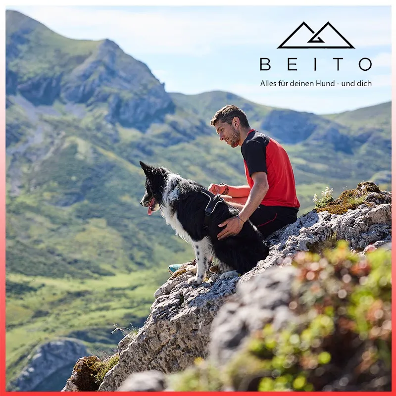 Beito Hundezubehör — Zoofachhandel, Hinwil, Zürich. Foto 3