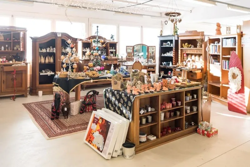 Blaukreuz-Brocki Dübendorf — Animalerie, Dübendorf, Zurich. Foto 3