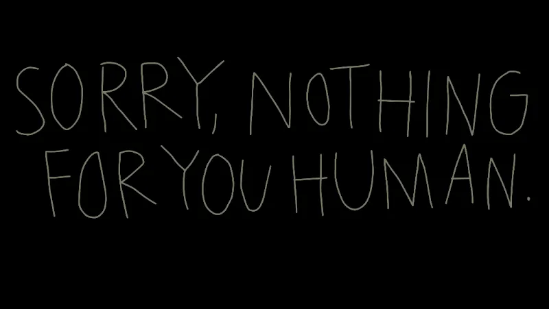 Classy Paw — Animalerie, Zürich, Zurich. Foto 2