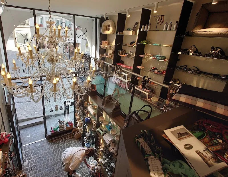 Classy Paw — Animalerie, Zürich, Zurich. Foto 3