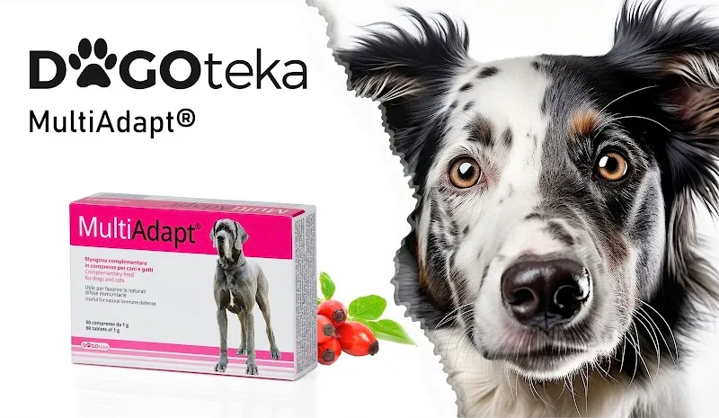 CoAn-Petshop.ch — Zoofachhandel in Forch, Zürich. Bewertung 5.0/5.