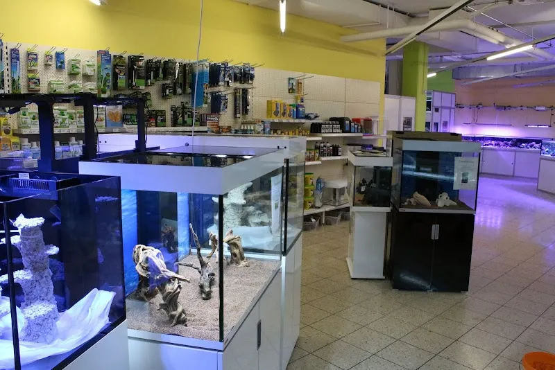Coral Dreams GmbH — Zoofachhandel, Oberglatt, Zürich. Foto 3