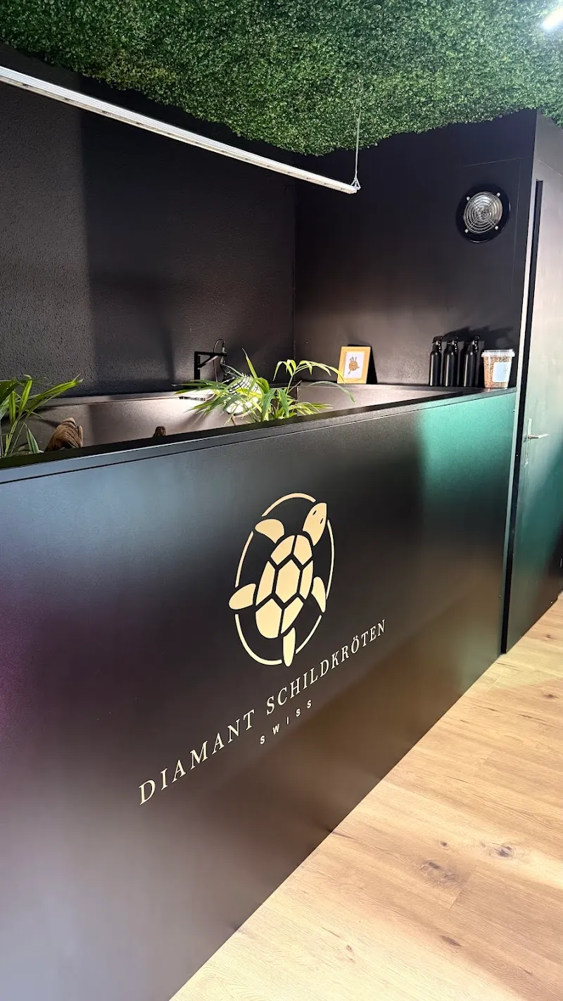 Diamant Schildkröten — Zoofachhandel in Elsau, Zürich. Bewertung 5.0/5.
