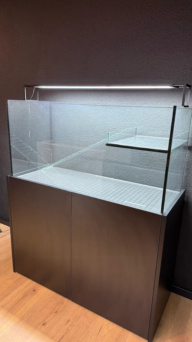 Diamant Schildkröten — Animalerie, Elsau, Zurich. Foto 3