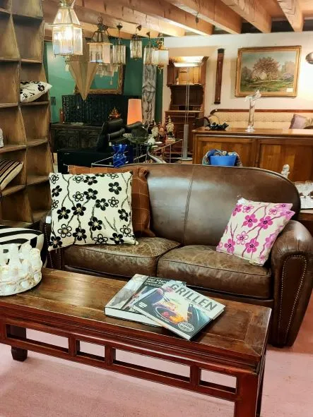 EMMAUS Zürich — Animalerie, Dübendorf, Zurich. Foto 2