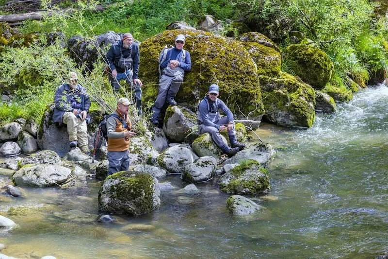 FUNFISH Fischereiartikel — Zoofachhandel in Rüti, Zürich. Bewertung 4.6/5.