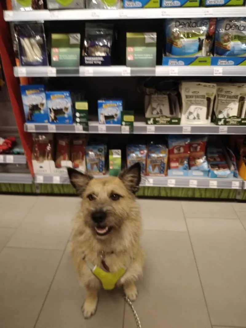 Fressnapf Baar — Zoofachhandel, Baar, Zug. Foto 2