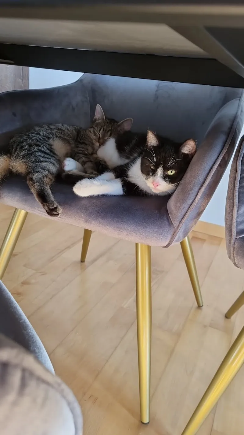 Fressnapf Pfäffikon — Zoofachhandel, Pfäffikon, Schwyz. Foto 2