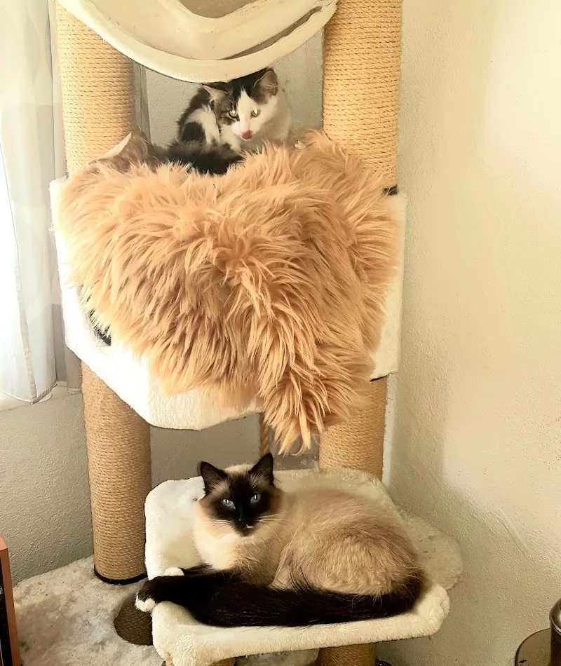 Fressnapf Pfäffikon — Zoofachhandel, Pfäffikon, Schwyz. Foto 3