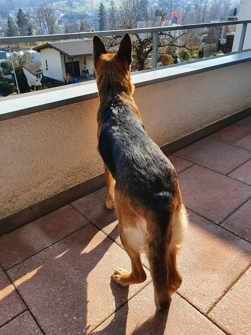 Fressnapf Wädenswil — Animalerie, Wädenswil, Zurich. Foto 3