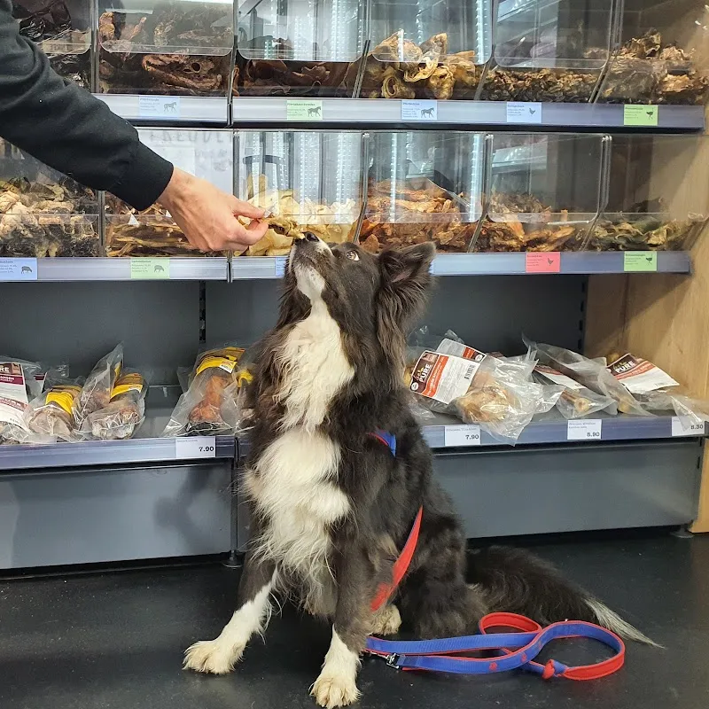 Freudentanz GmbH — Animalerie, Uster, Zurich. Foto 3