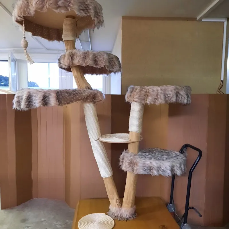 Fun for cats GmbH Katzenlaufrad Catspeed — Zoofachhandel, Illnau-Effretikon, Zürich. Foto 2