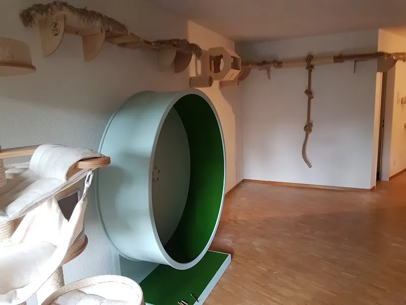 Fun for cats GmbH Katzenlaufrad Catspeed — Zoofachhandel, Illnau-Effretikon, Zürich. Foto 3