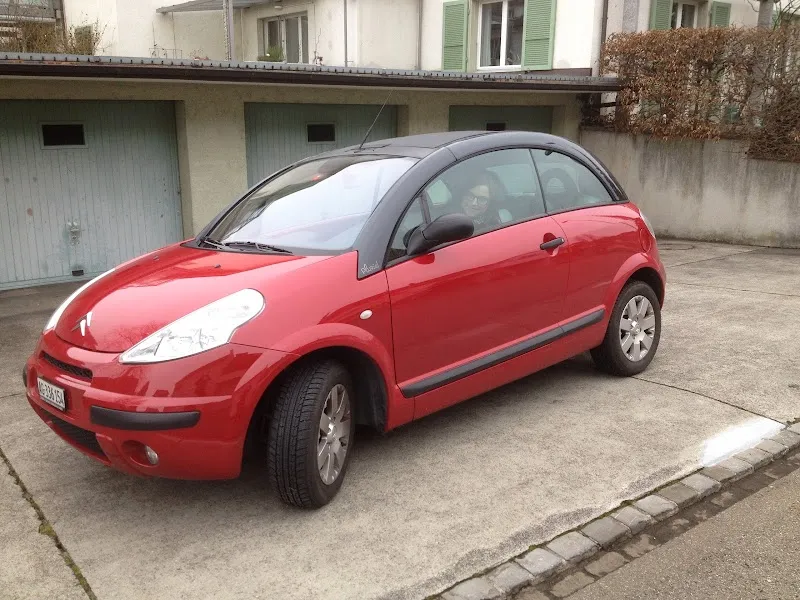 «Sorglos Verreisen» Haus- und Tierbetreuung Aarau — Katzenpension, Aarau, Aargau. Foto 2