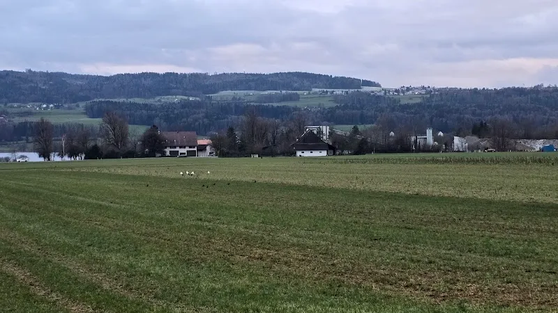 GOLDENWAY — Zoofachhandel in Uster, Zürich. Bewertung 4.0/5.