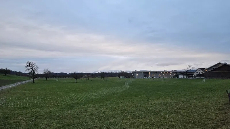 GOLDENWAY — Zoofachhandel, Uster, Zürich. Foto 2