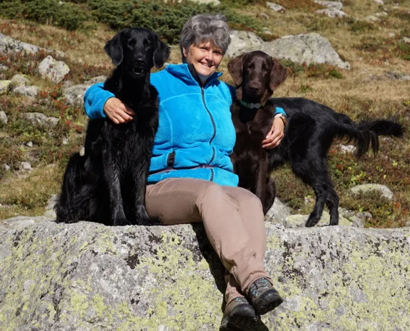 Godenzi NaVita Hundefutter — Zoofachhandel in Kollbrunn, Zürich. Bewertung 5.0/5.