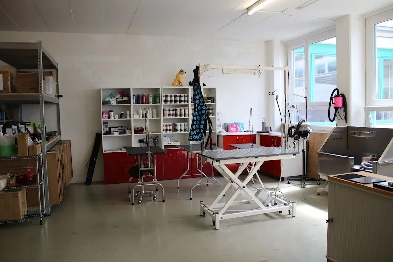 Groomers Mall GmbH — Zoofachhandel in Maur, Zürich. Bewertung 4.9/5.