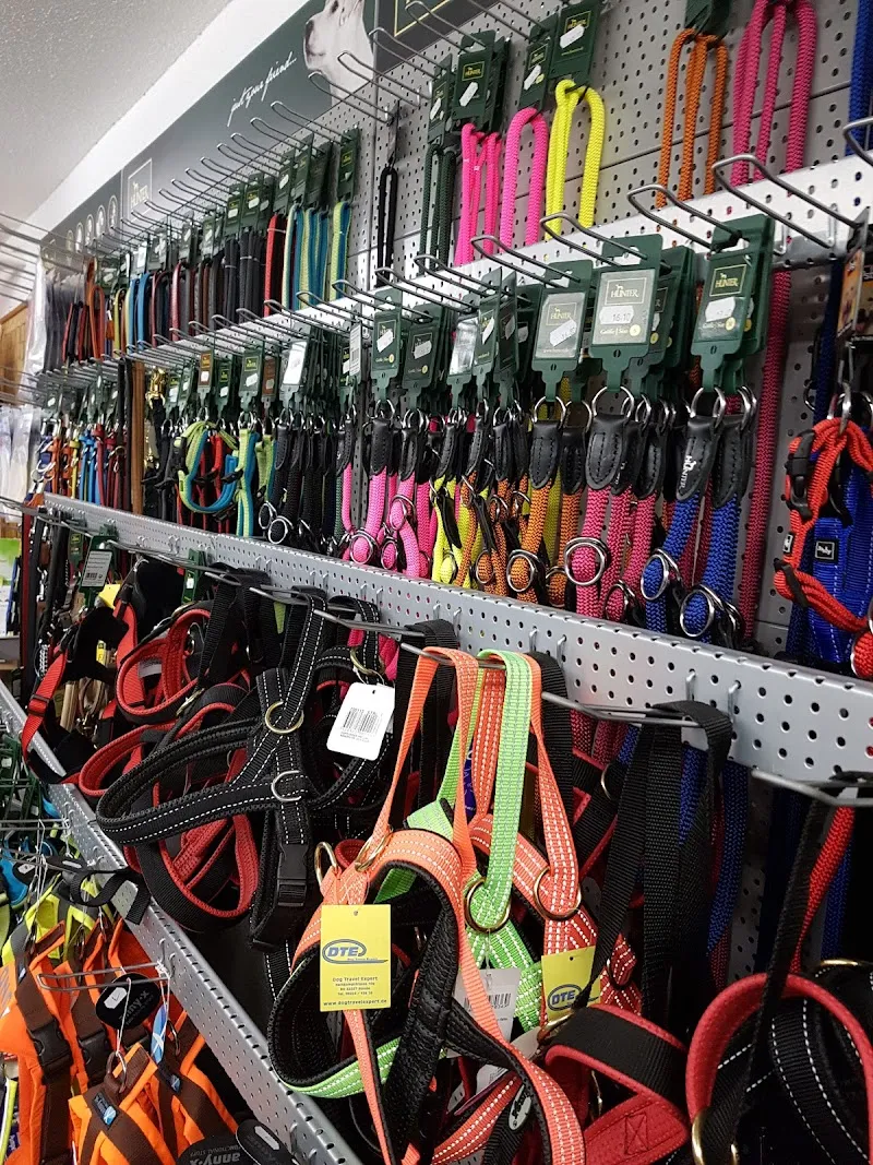 HUND & so — Animalerie, Regensdorf, Zurich. Foto 2