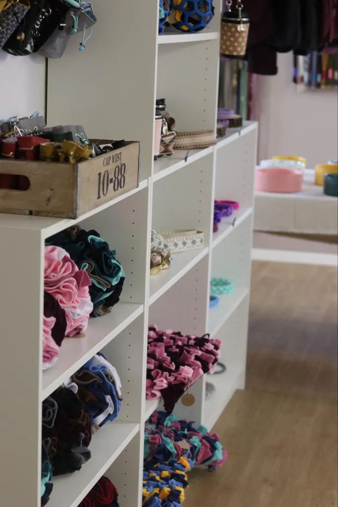 Healthy Dog GmbH — Animalerie, Adliswil, Zurich. Foto 2