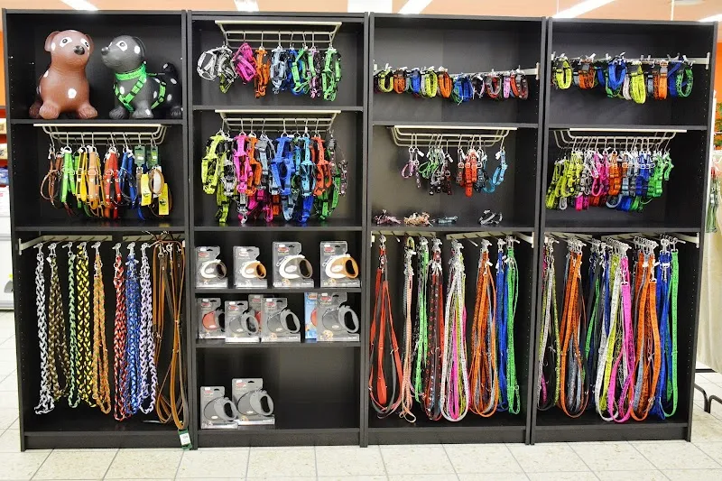 Hunde Oase GmbH — Animalerie, Pfungen, Zurich. Foto 2