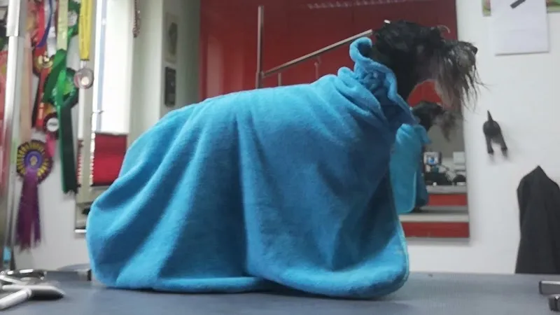 Josephins Trimmshop — Zoofachhandel in Wallisellen, Zürich. Bewertung 4.7/5.