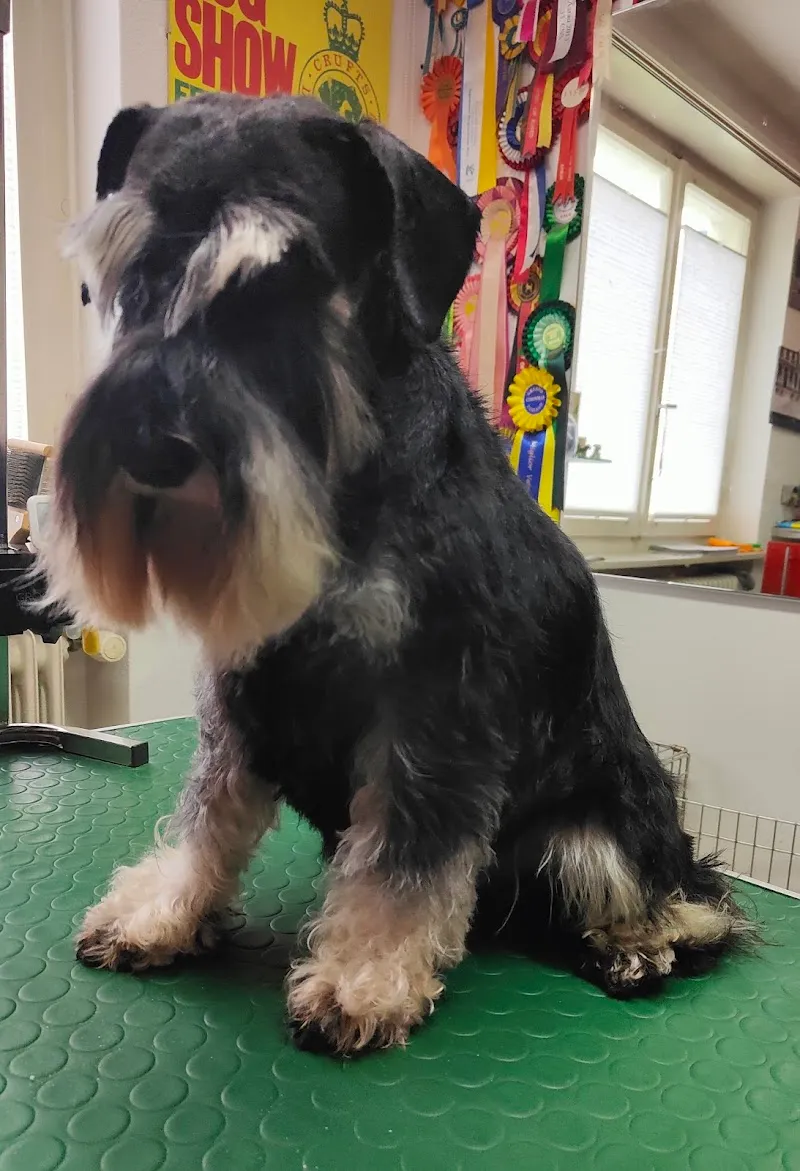 Josephins Trimmshop — Zoofachhandel, Wallisellen, Zürich. Foto 2