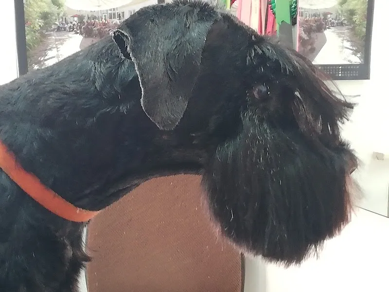 Josephins Trimmshop — Zoofachhandel, Wallisellen, Zürich. Foto 3