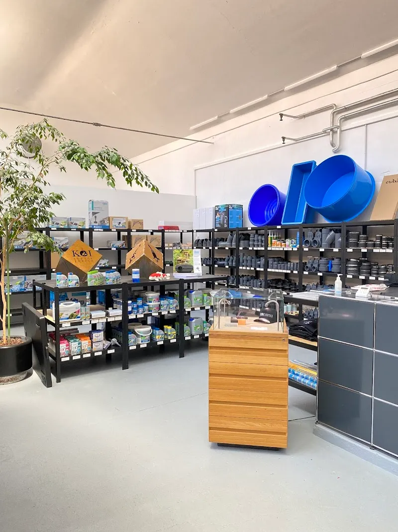 KOI LOUNGE Zürich — Animalerie, Birmensdorf, Zurich. Foto 2