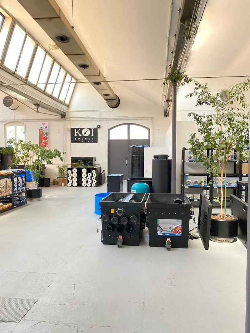 KOI LOUNGE Zürich — Animalerie, Birmensdorf, Zurich. Foto 3