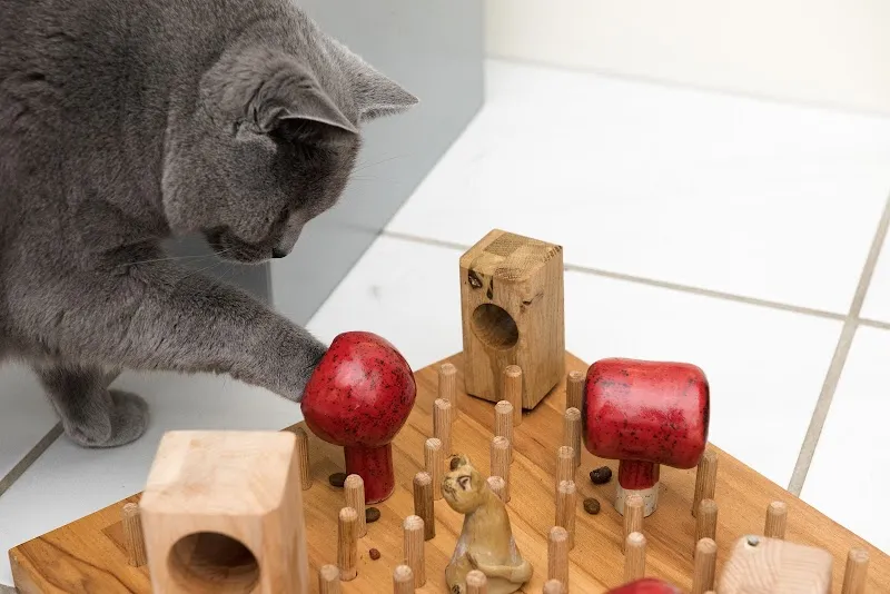 Katzennetze, Design Katzenbetten und Fummelbretter — Tierdienste in Bülach, Zürich. Bewertung 5.0/5.