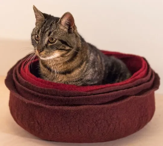 Katzennetze, Design Katzenbetten und Fummelbretter — Tierdienst, Bülach, Zürich. Foto 2