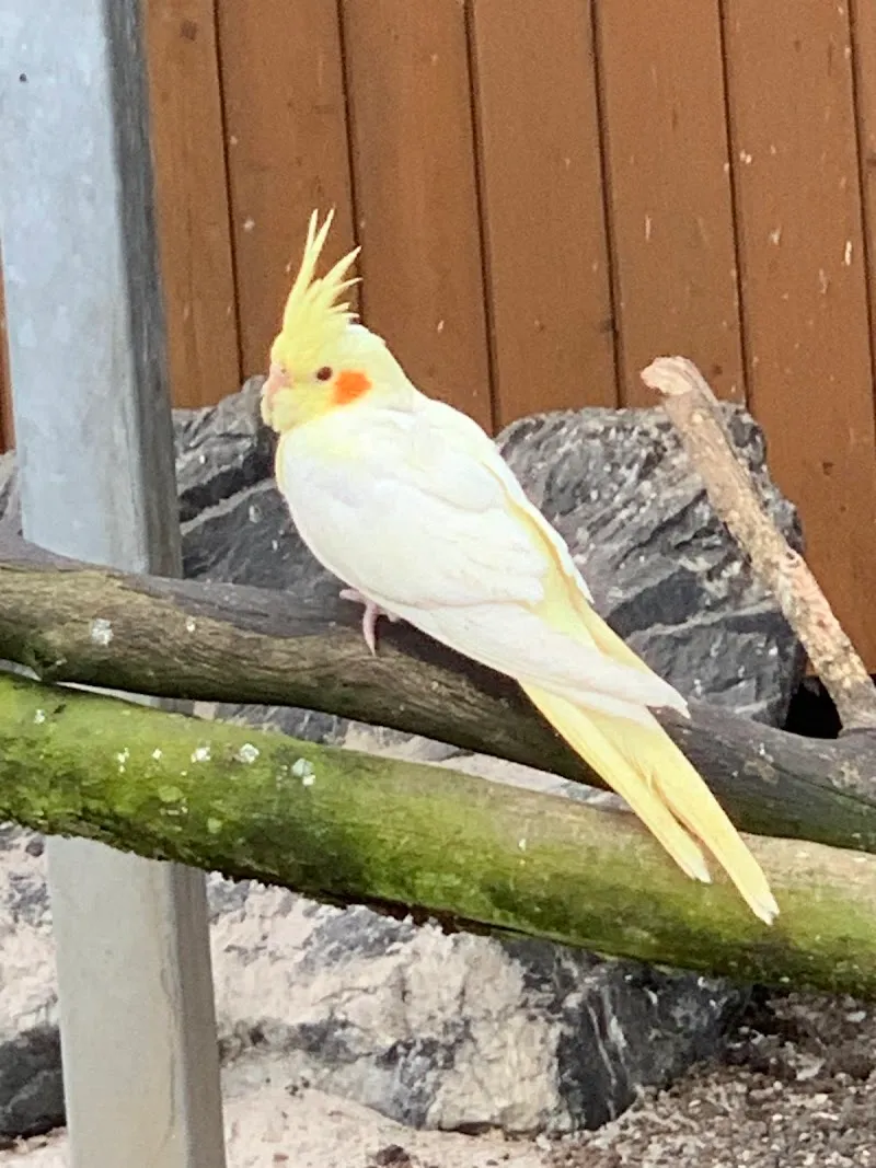 Kinderkrippe Zoo Bülach — Zoofachhandel, Bülach, Zürich. Foto 3
