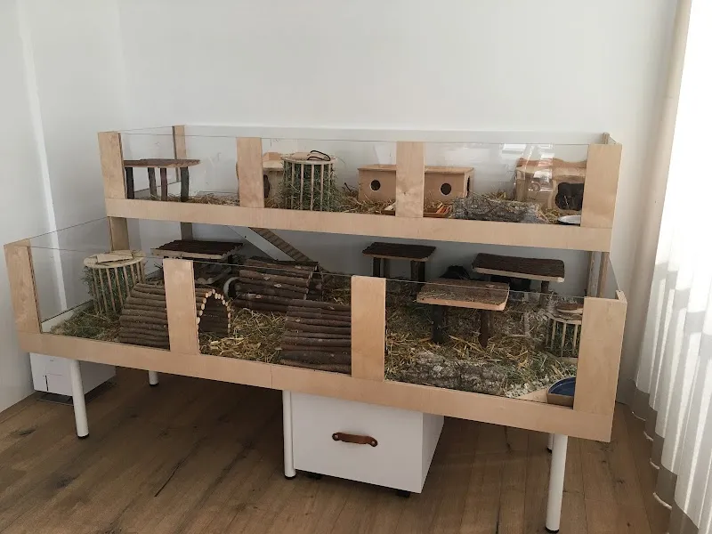 KleintierTraum — Zoofachhandel, Zürich, Zürich. Foto 2