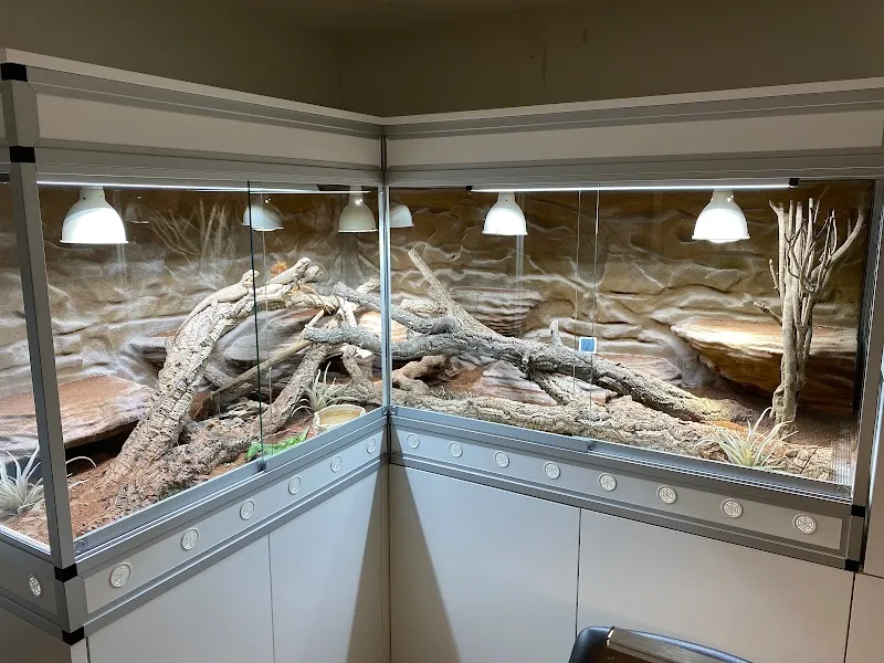 KleintierTraum — Zoofachhandel, Zürich, Zürich. Foto 3