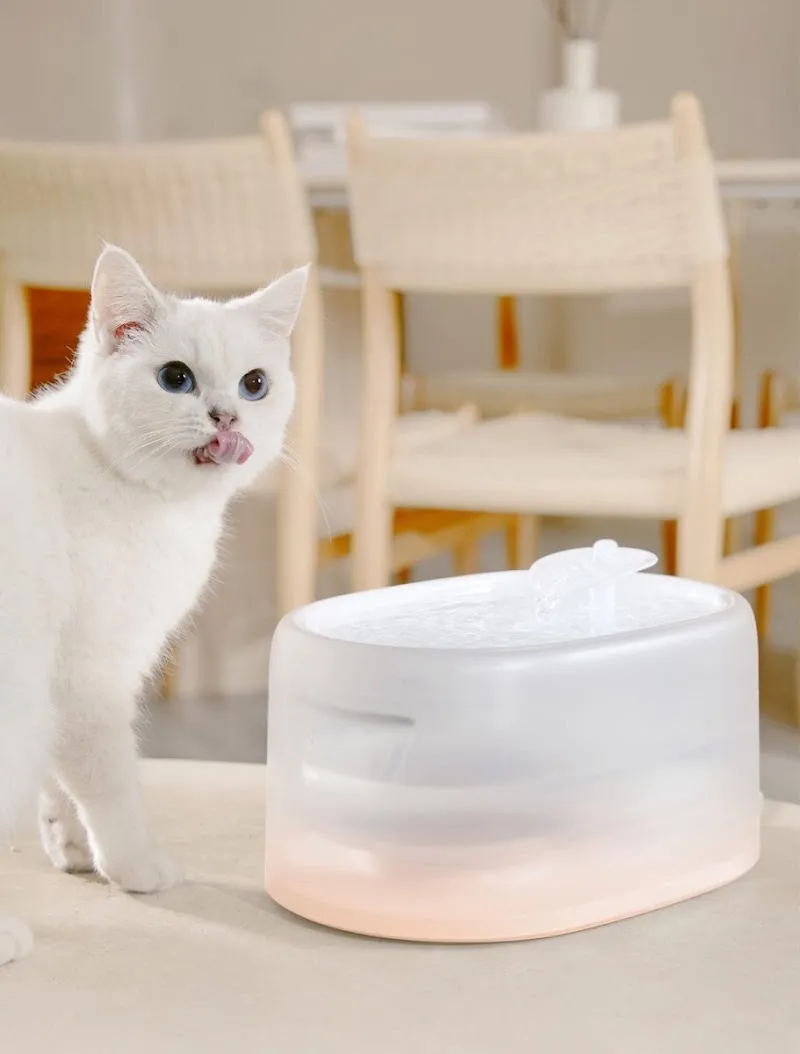 Koller Snugglepets — Animalerie, Illnau-Effretikon, Zurich. Foto 3