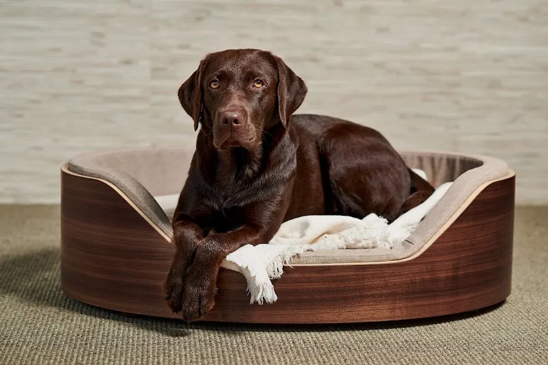 LA QUINTA Hundebetten Schweiz — Zoofachhandel in Zürich, Zürich. Bewertung 5.0/5.