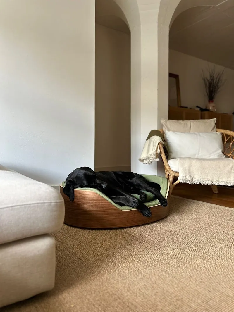 LA QUINTA Hundebetten Schweiz — Animalerie, Zürich, Zurich. Foto 3